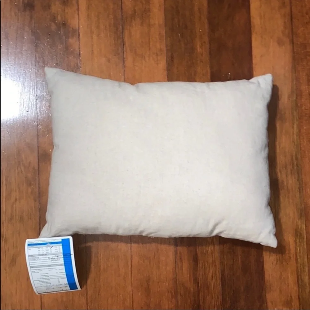 NWT Pottery Barn Teen Dreamer Embroidered Pillow